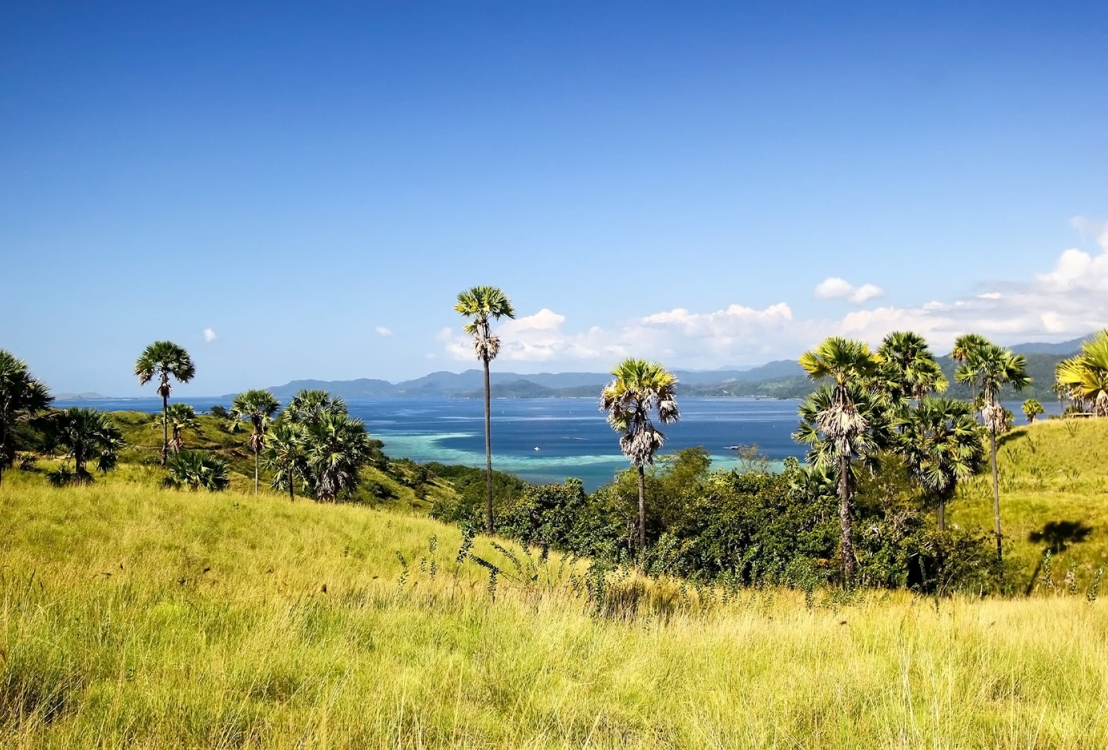 Fotografía de archivo de un paisaje de la isla de Flores, Indonesia, tomada en 2020; no muestra daños del terremoto