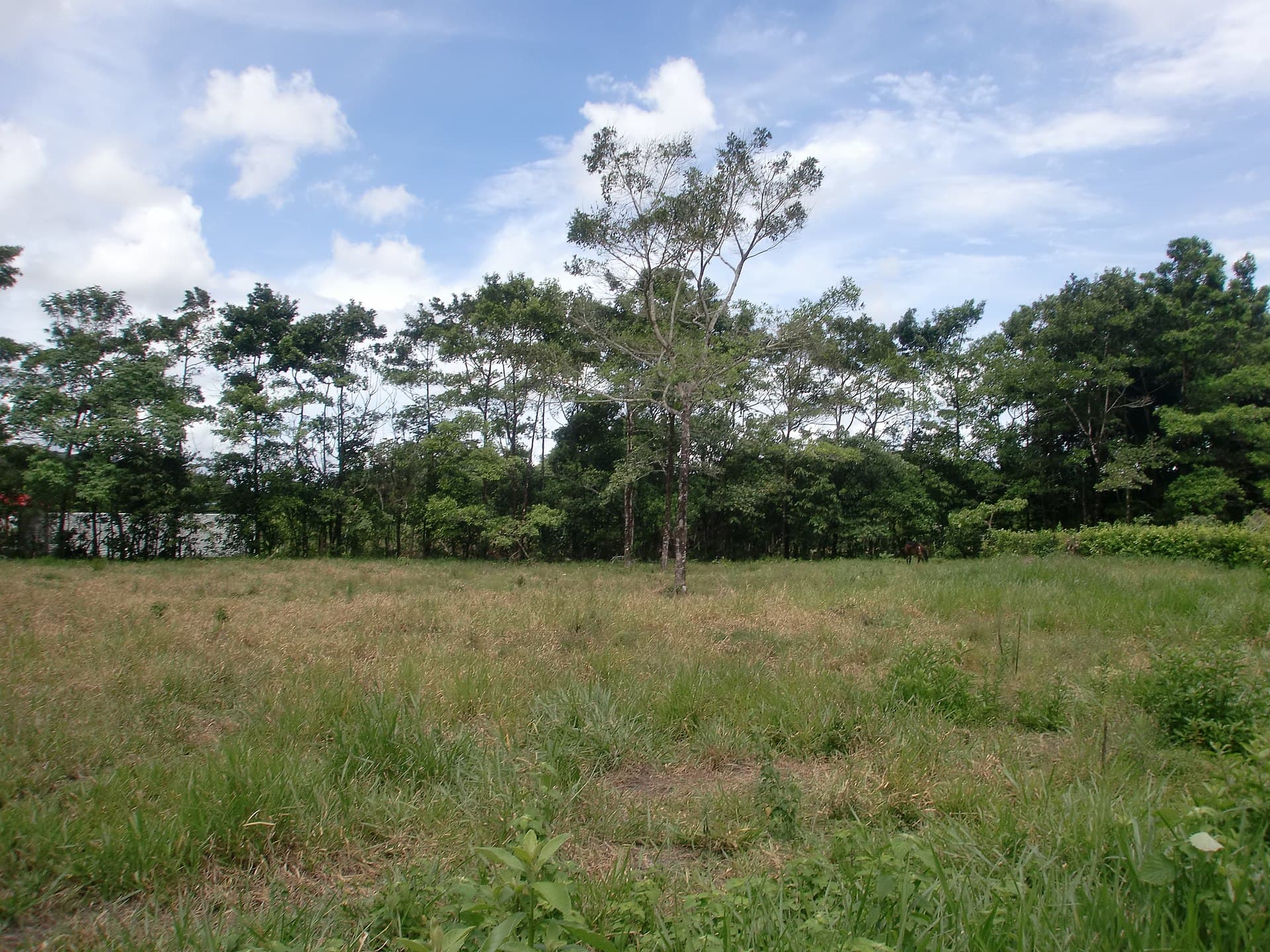 Villavicencio, Meta, Colombia