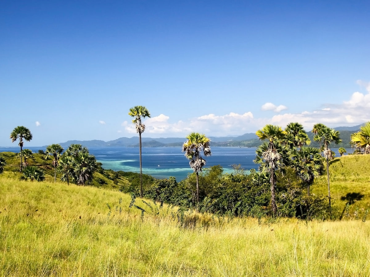 Fotografía de archivo de un paisaje de la isla de Flores, Indonesia, tomada en 2020; no muestra daños del terremoto