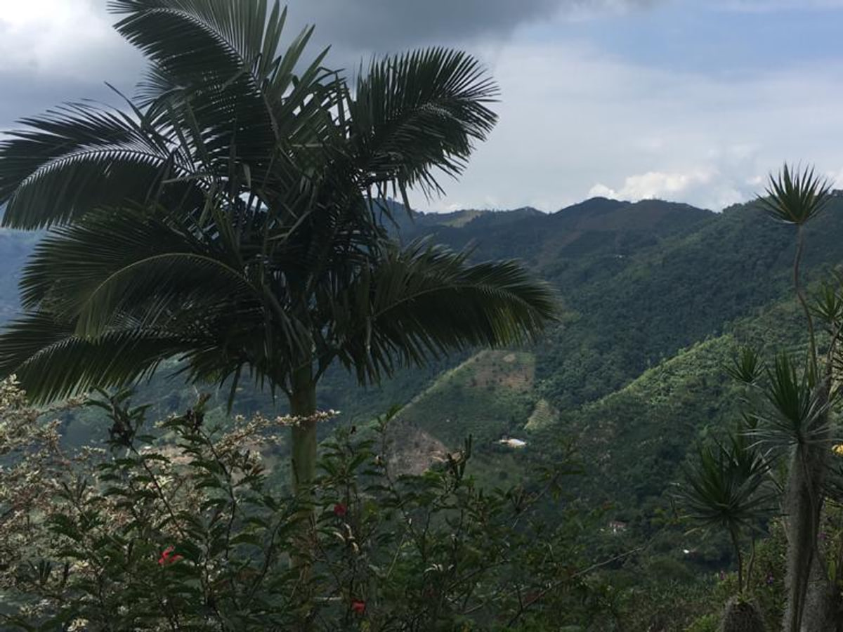 Zona montañosa Risaralda caldas