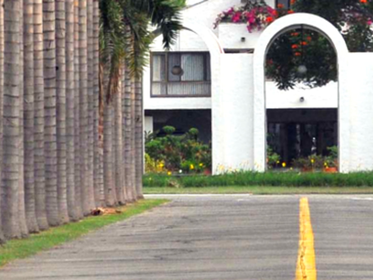 The palm-flanked driveway to CIAT's headquarters near Palmira, Colombia.