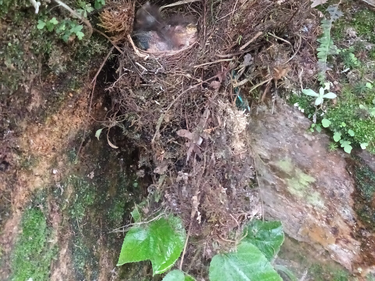 Parque Ecológico La Romera, Sabaneta, Antioquia, Colombia