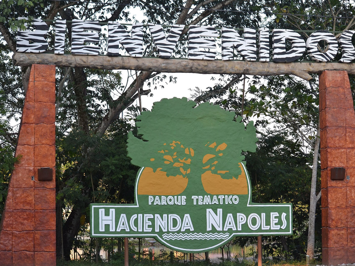 Bienvenida al Parque
