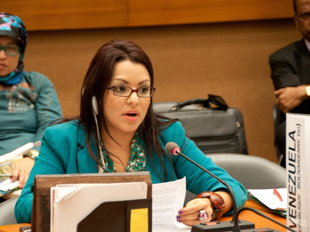 Delegate of the Bolivarian Republic of Venezuela
