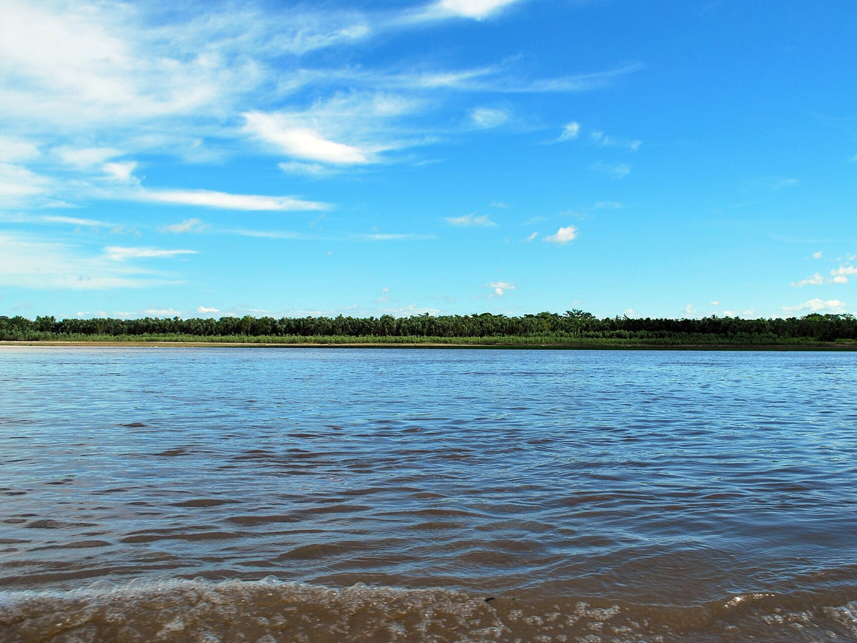 Río Cauca, afluente de agua declarado sujeto de derechos en Colombia. Bajo Cauca, Antioquia.